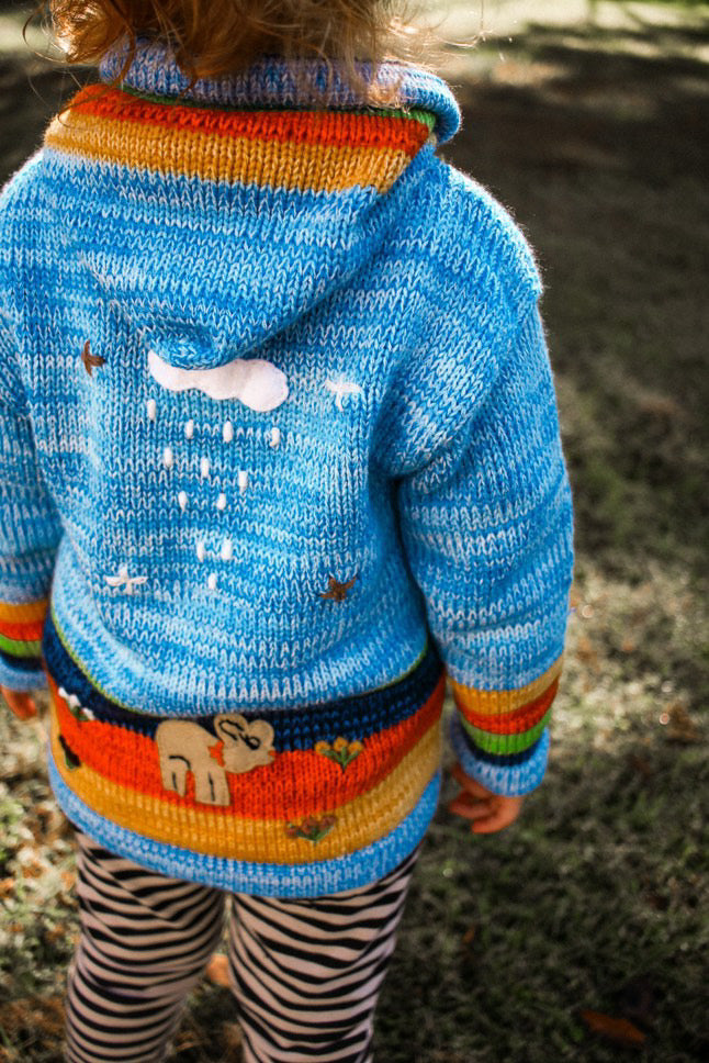 Kids Nature Scene Hooded Zip Sweater